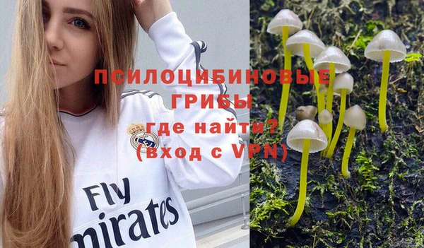 хмурый Богданович