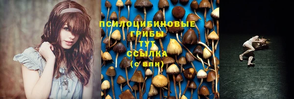 гашишное масло Богородицк