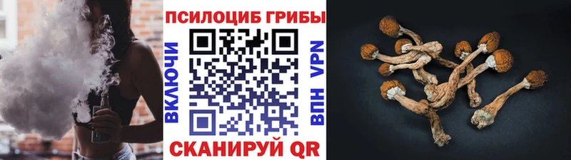 Галлюциногенные грибы Psilocybine cubensis  где можно купить наркотик  Городовиковск 