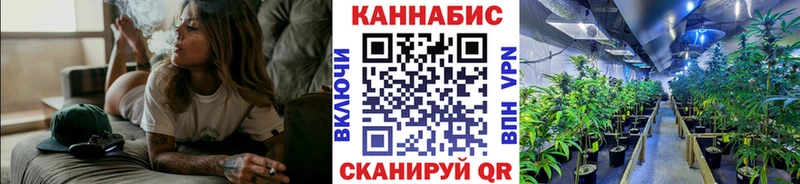 дарнет шоп  Городовиковск  Марихуана семена 